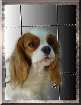 Une romance Du val de la lauriere