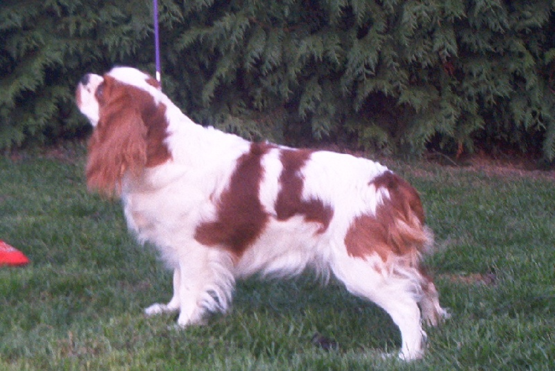 Thalia Du val de la lauriere