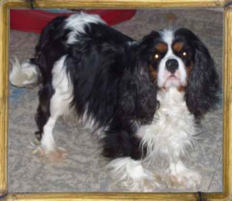 Bailla Du val de la lauriere