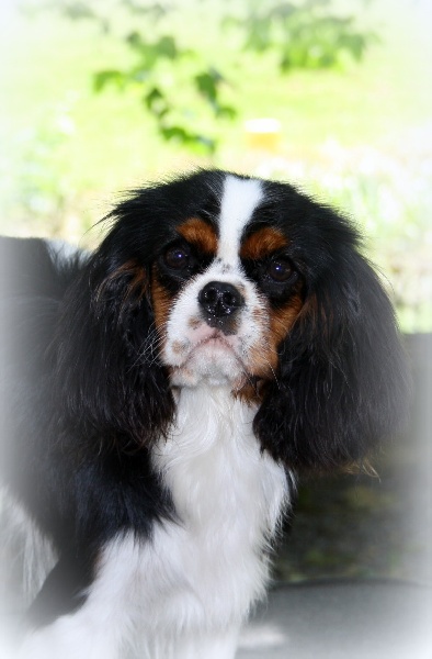 Hwinny Du val de la lauriere