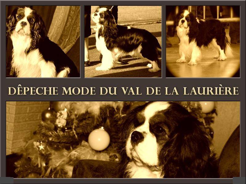 Dépêche mode Du val de la lauriere